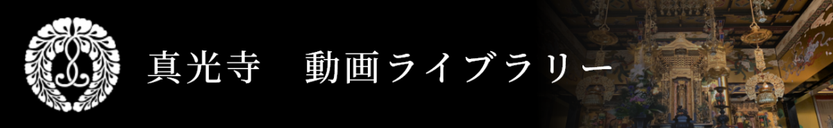 動画ライブラリー